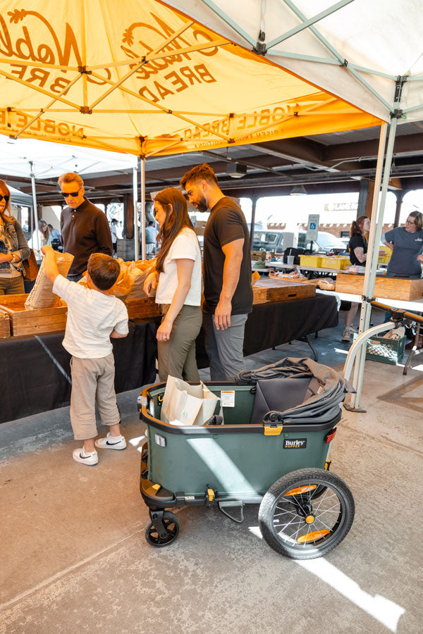Burley Hopper Cargo Bike Trailer and Stroller Wagon