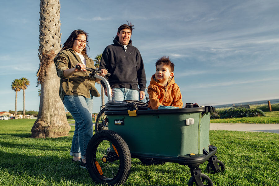 Burley Hopper Cargo Bike Trailer and Stroller Wagon
