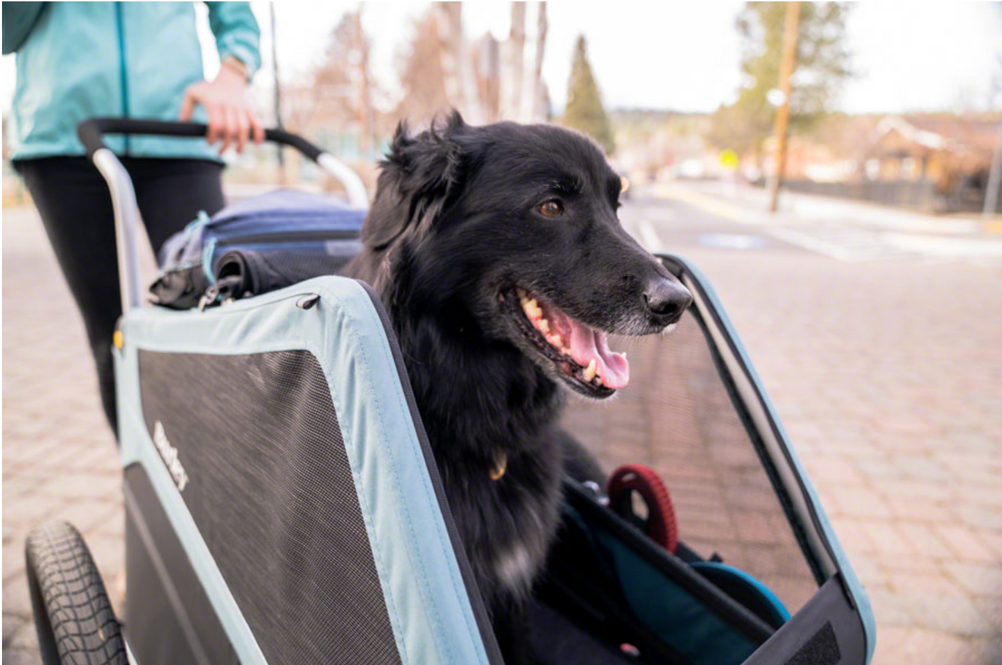 Burley Bark Ranger Pet Bike XL Trailer